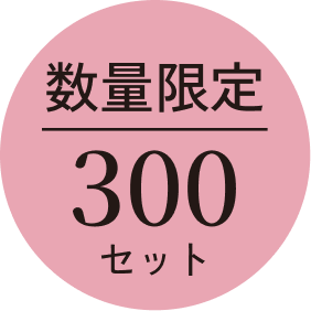 数量限定 300セット